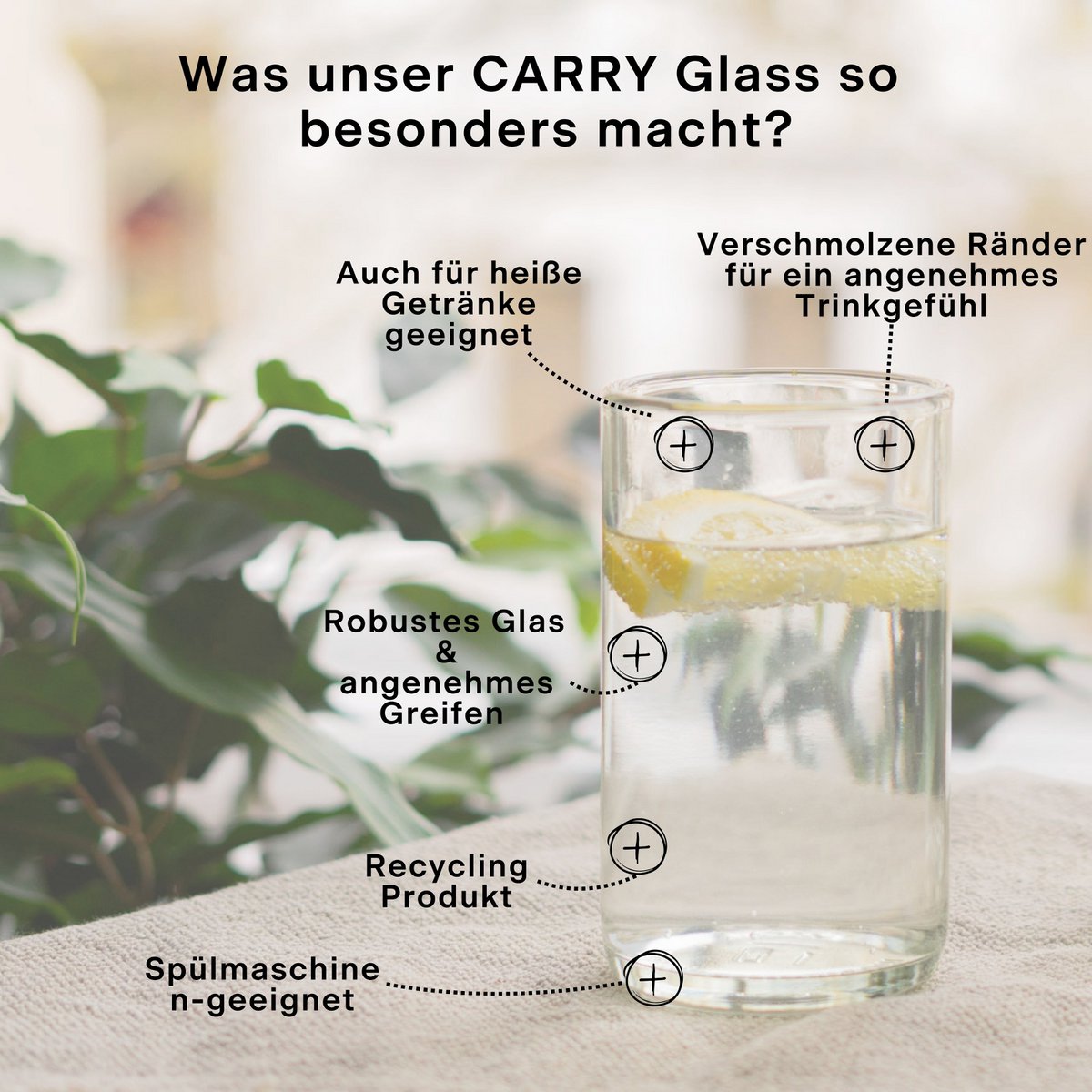 Duitstalige uitleg van CARRY Bottles over het drinkglas
