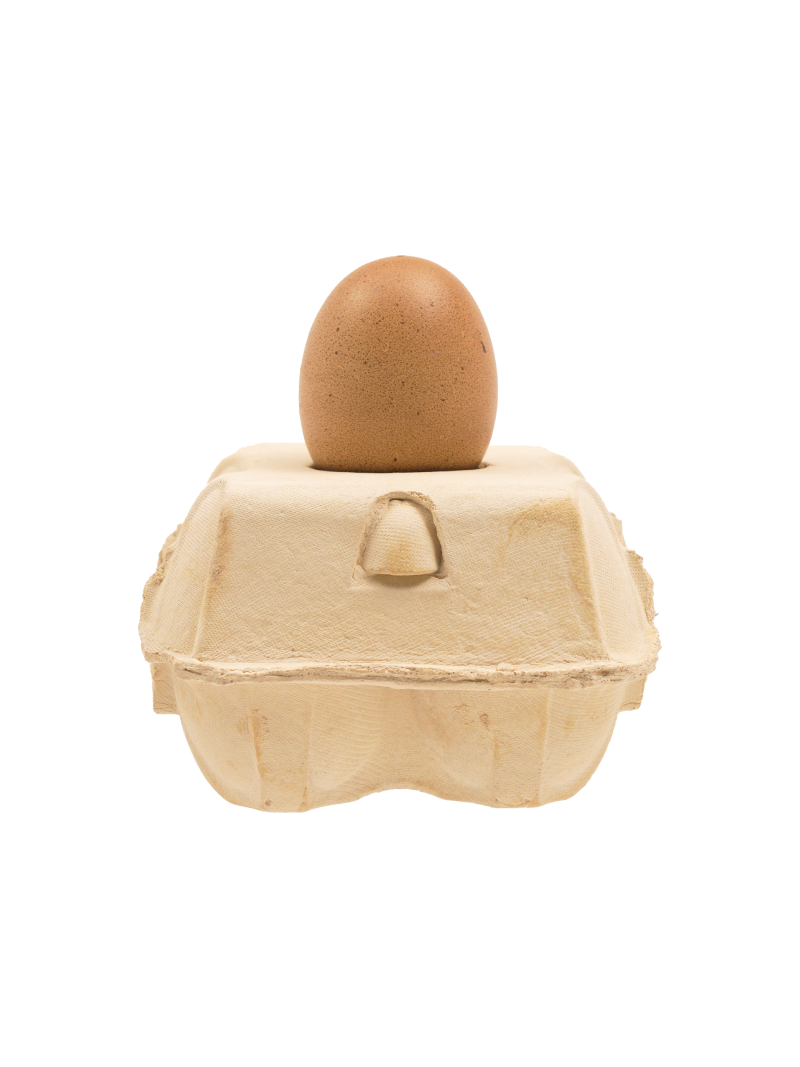 Eierdooslamp Corn met een bruine Egglamp erop, op een witte achtergrond