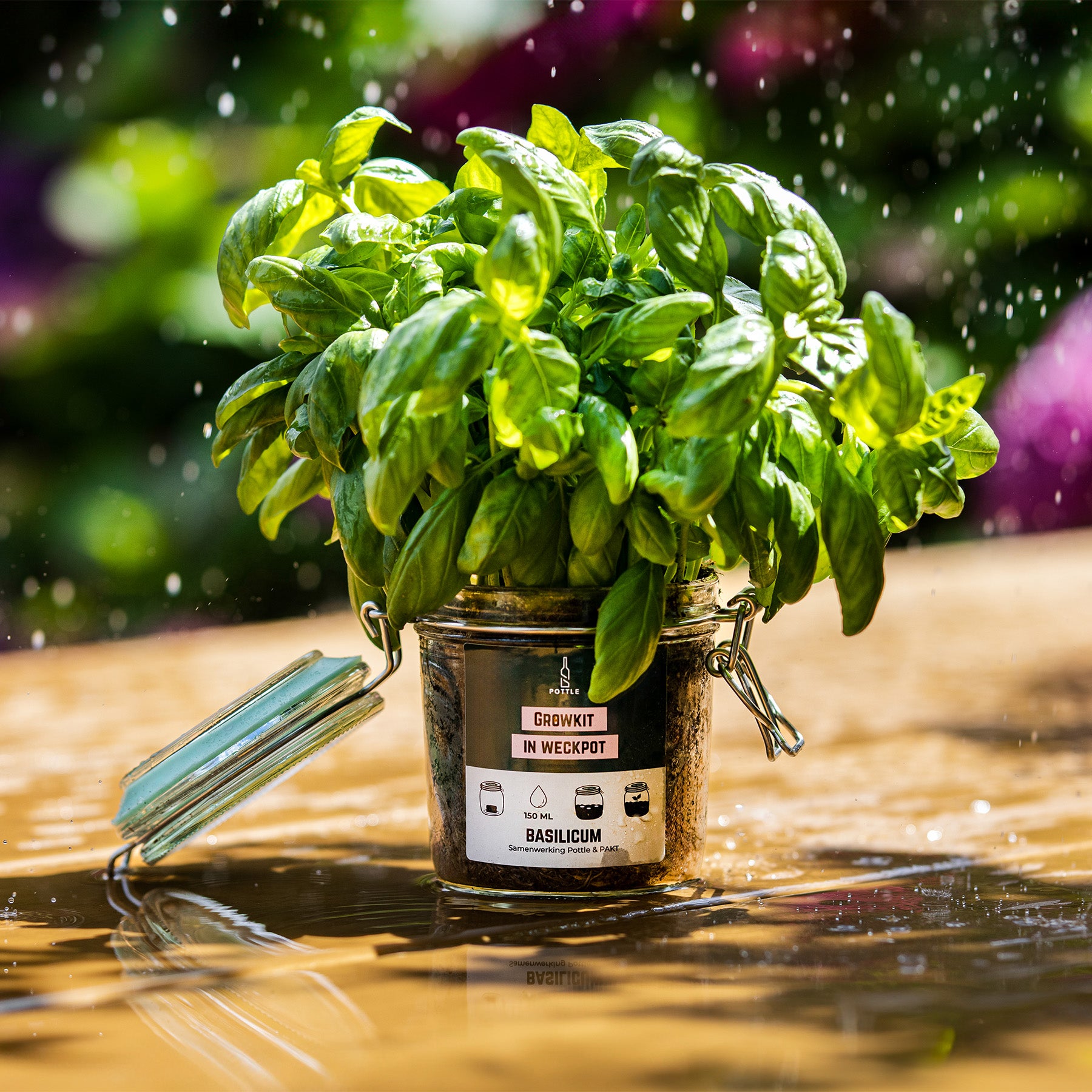 Een origineel en duurzaam relatiegeschenk: growkit in weckpot die gemaakt is in een sociale werkplaats.