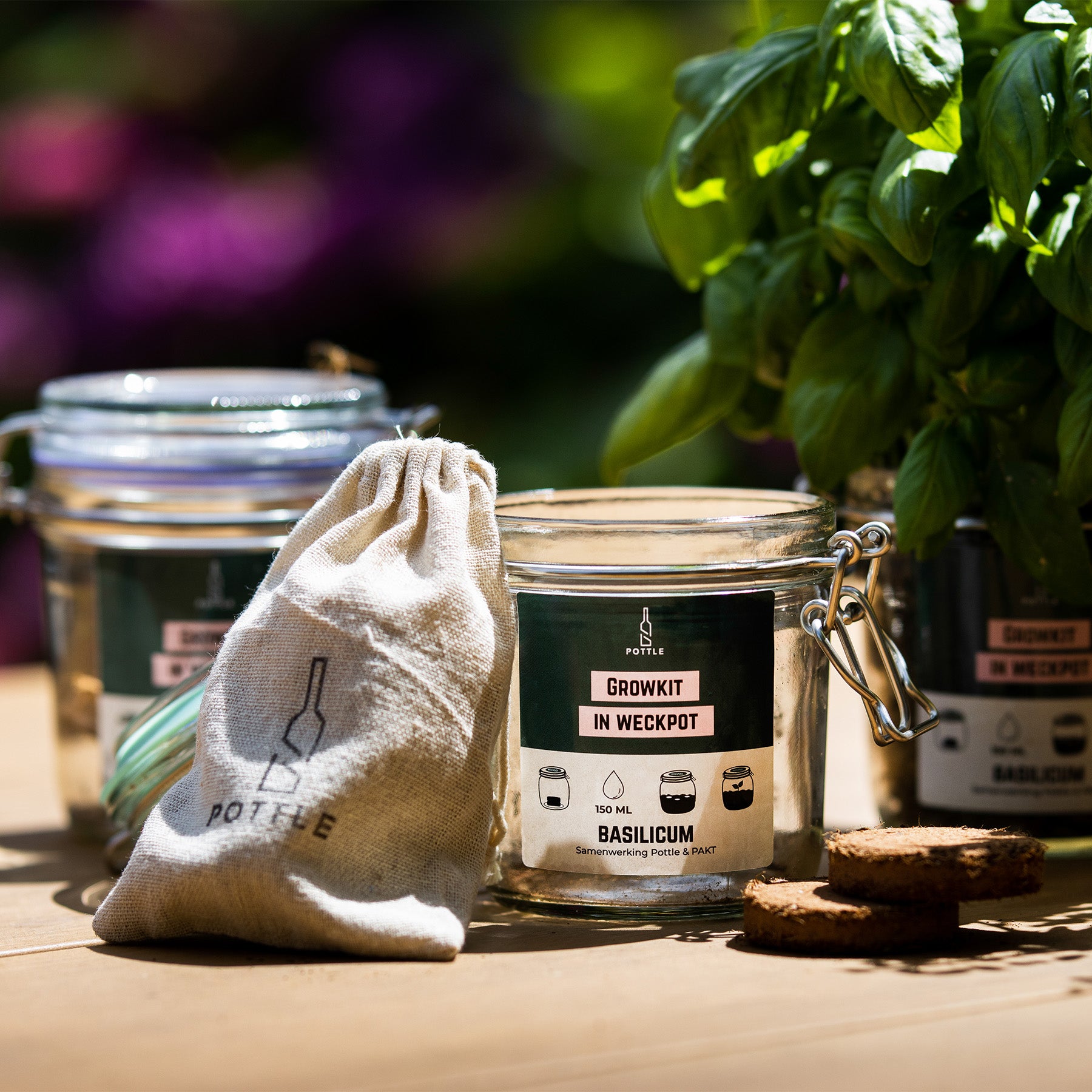 DIY Kweekset Box - Shop Cycle-Up