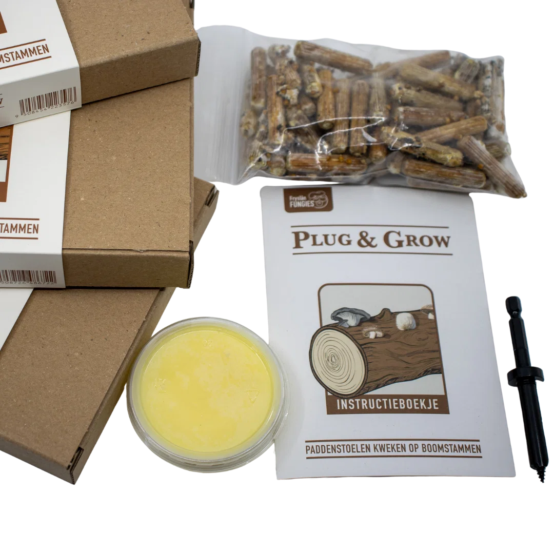 Fryslân Fungies - Plug & Grow set