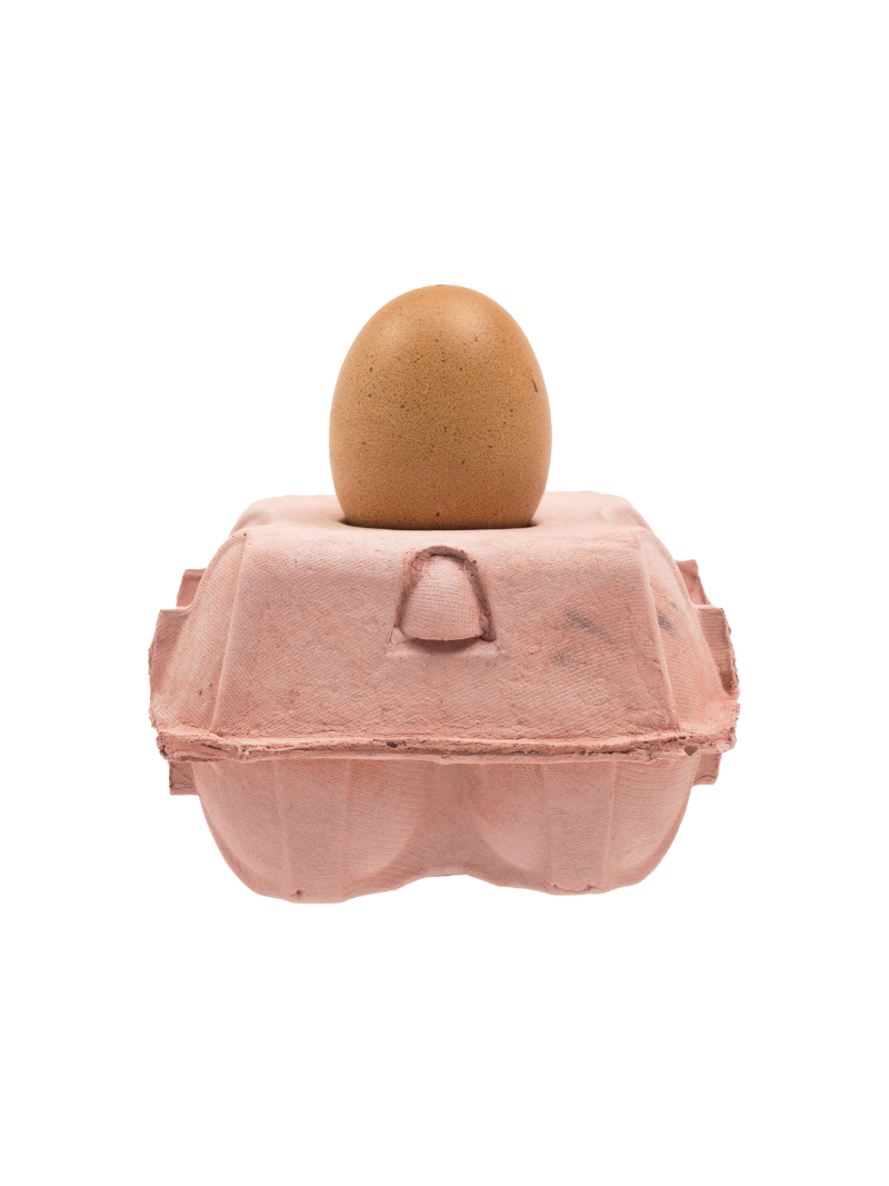 Eierdooslamp Rosé met een bruine Egglamp erop, op een witte achtergrond