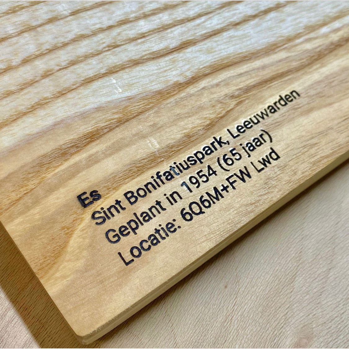 Stadshout Leeuwarden - Borrelplank met handvat (50cm)