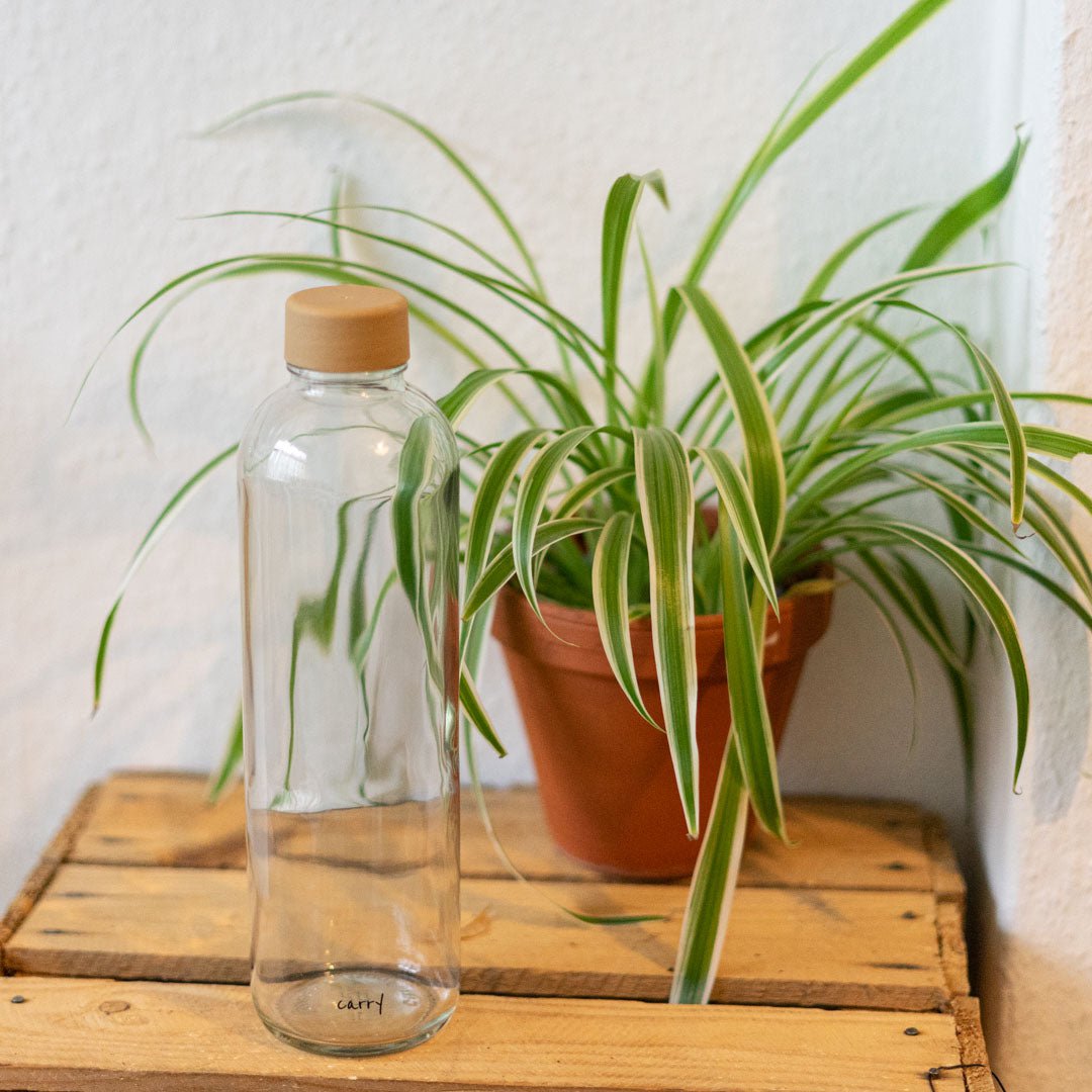Drinkfles Pure op een houten kist met een plant