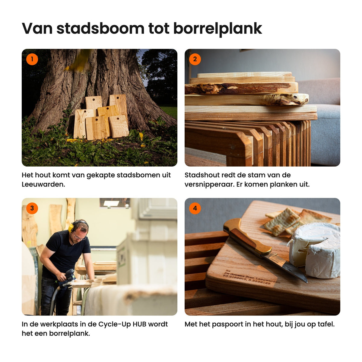 Van stadsboom tot borrelplank in vier stappen: de boom, het geredde hout, de werkplaats in de HUB en op tafel