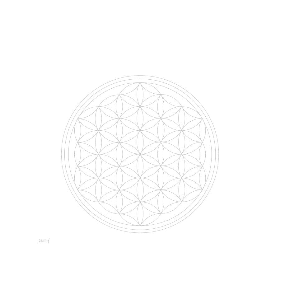 Het ontwerp Flower of Life, de bloem des levens