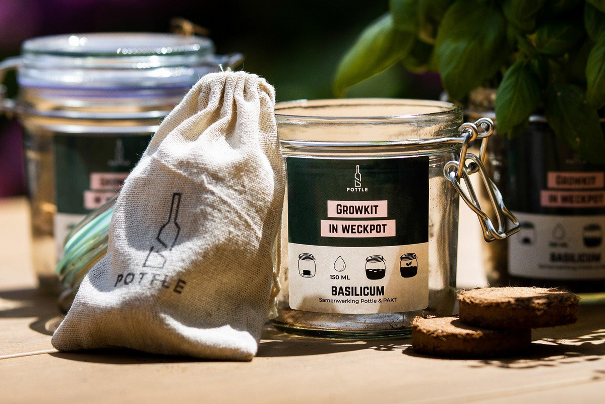 Basilicum growkit in een geredde weckpot