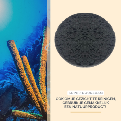 Houtskool cellulose sponsjes voor het gezicht, 20 stuks, foto 3