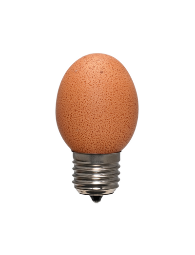 Egglamp Brown: ledlamp van een bruin ei met E27-fitting