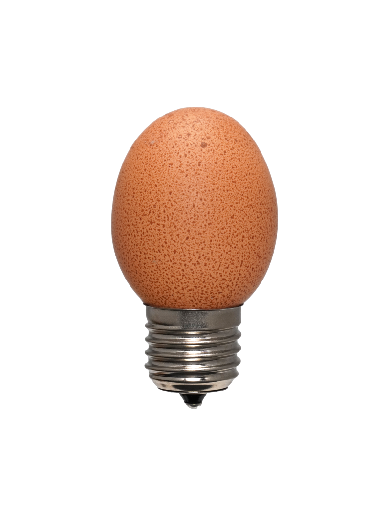 Egglamp Brown: ledlamp van een bruin ei met E27-fitting