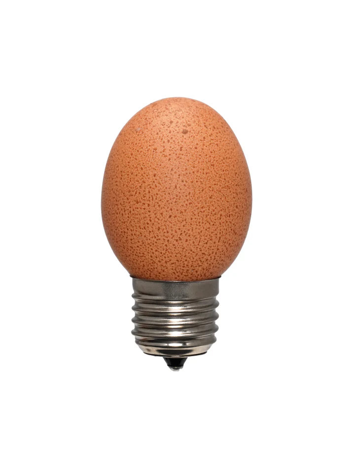 Egglamp brown