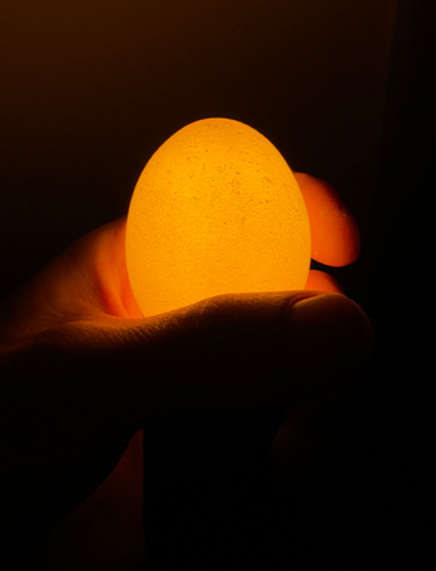 Brandende Egglamp Brown in een hand, in het donker