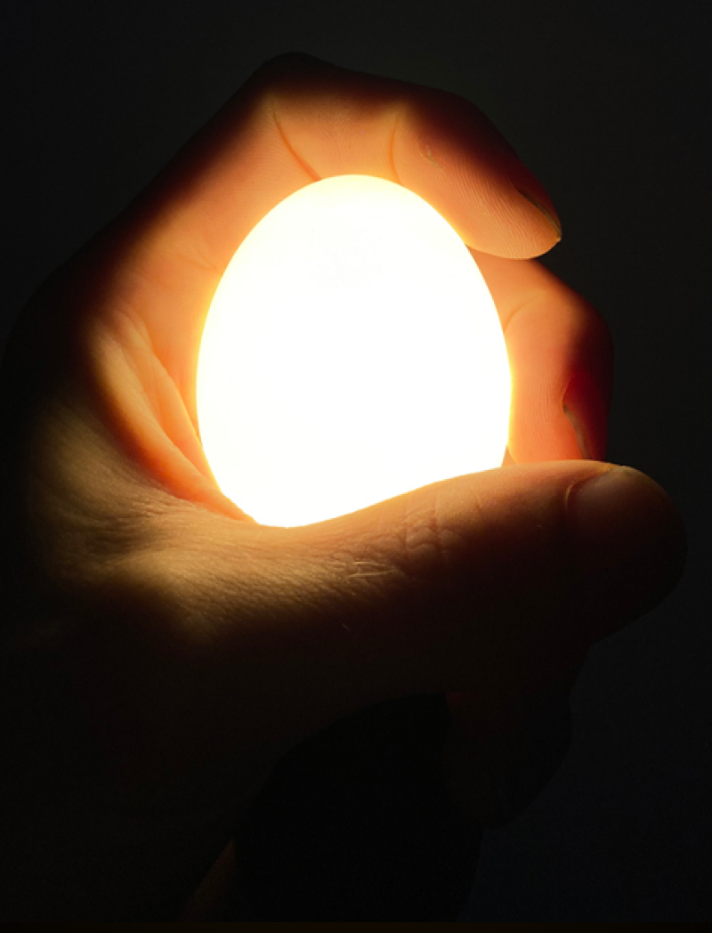 Brandende Egglamp White in een hand, in het donker
