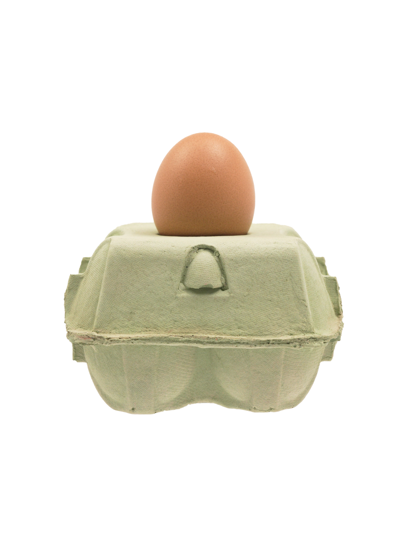 Eierdooslamp Mint met een bruine Egglamp erop, op een witte achtergrond