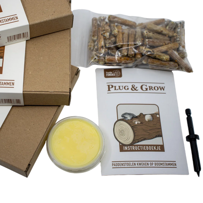Fryslân Fungies - Plug & Grow set