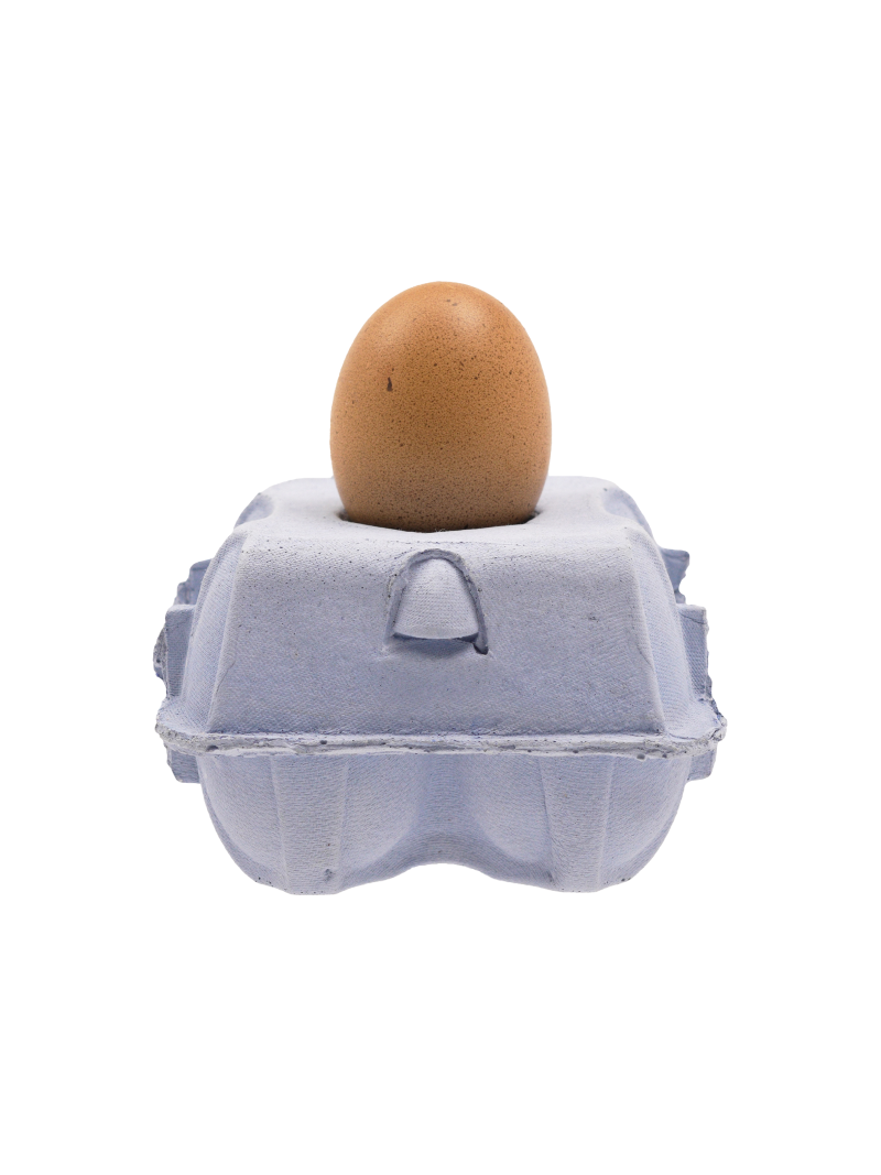 Eierdooslamp Sky met een bruine Egglamp erop, op een witte achtergrond