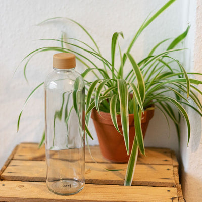 Drinkfles Pure op een houten kist met een plant