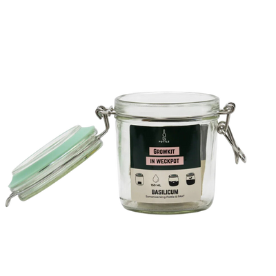 Basilicum growkit in een geredde weckpot