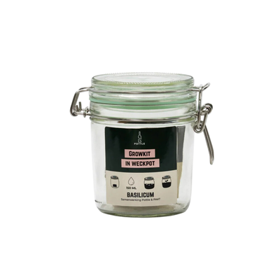 Basilicum growkit in een geredde weckpot