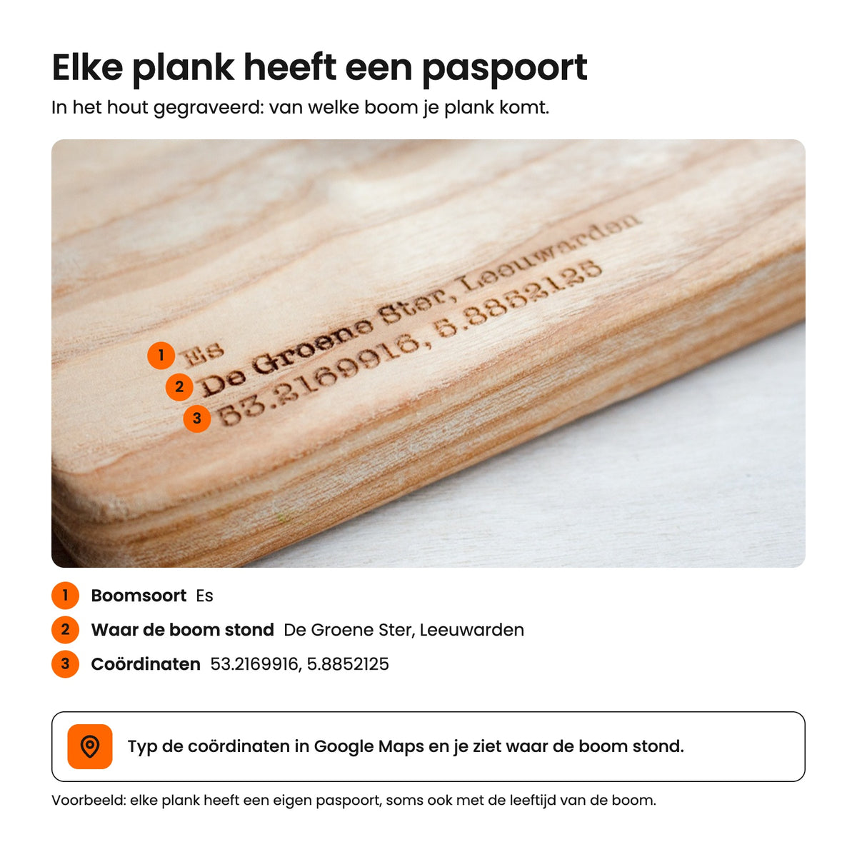 Uitleg van het paspoort in het hout: boomsoort, plek in Leeuwarden en coördinaten