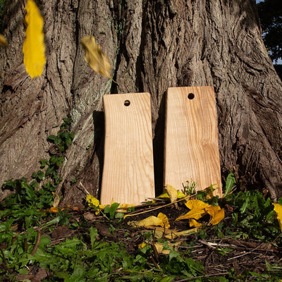 Twee lange borrelplanken van stadshout tegen de stam van een grote boom