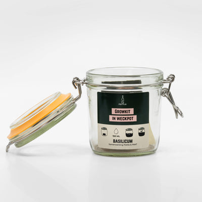 Geopende basilicum growkit, oranje uitvoering