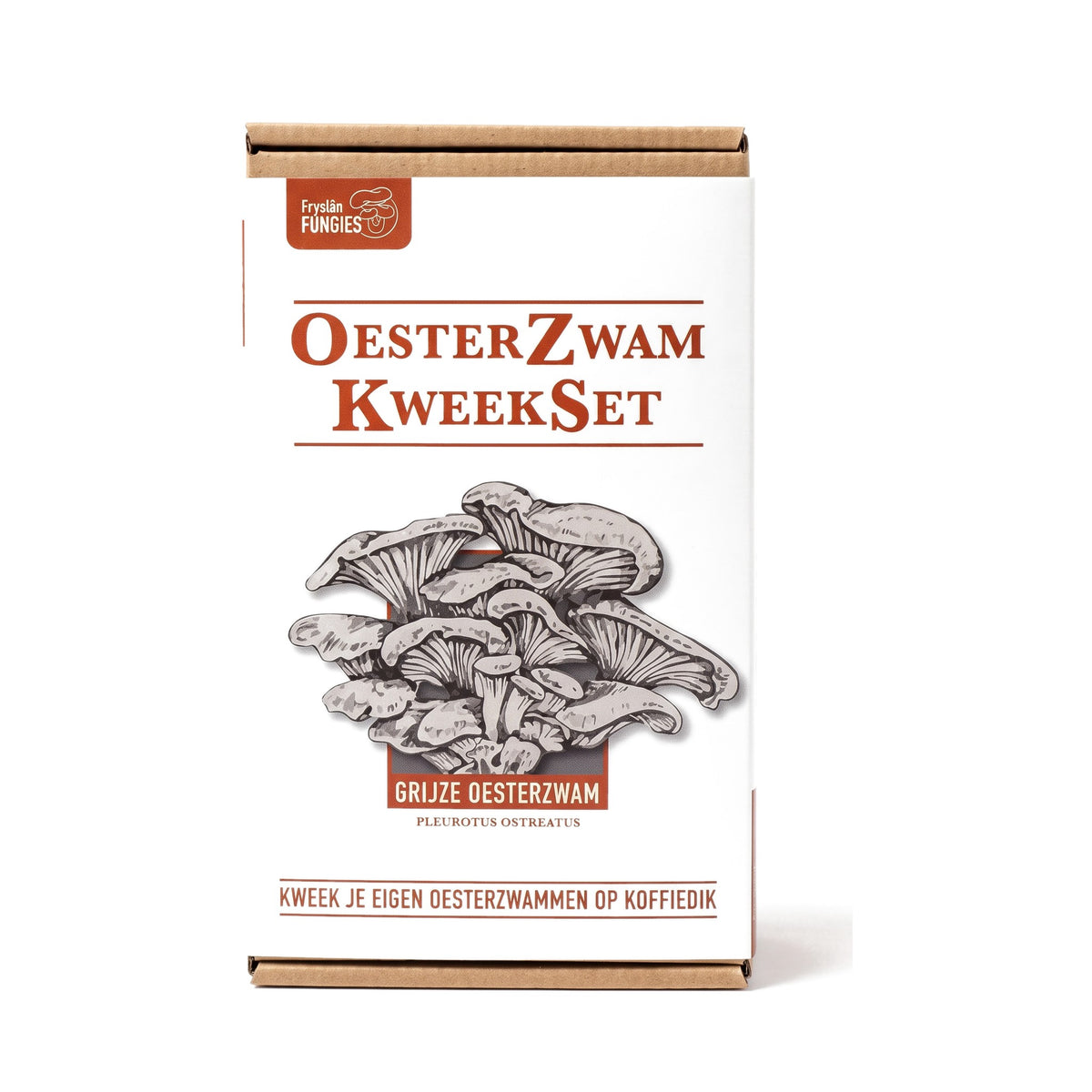 Fryslân Fungies - Oesterzwam Kweekset op een witte achtergrond (impressie)